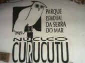 curucutu.jpg (60569 bytes)